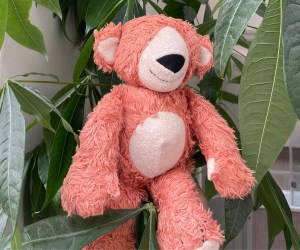 Untitled design - 2025-08-20T160638.070